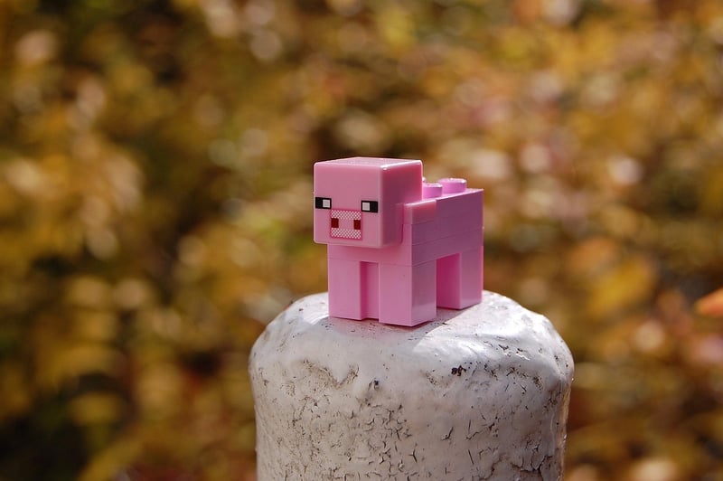 Villageois Minecraft : 10 astuces incontournables pour 2026