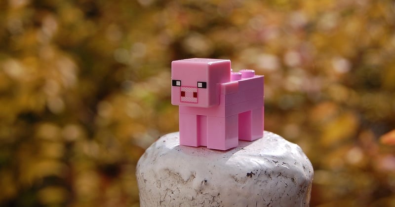 La brèche Minecraft ultime : astuces et secrets pour la maîtriser